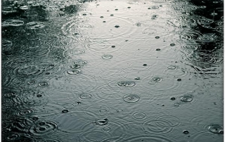 rainy_day